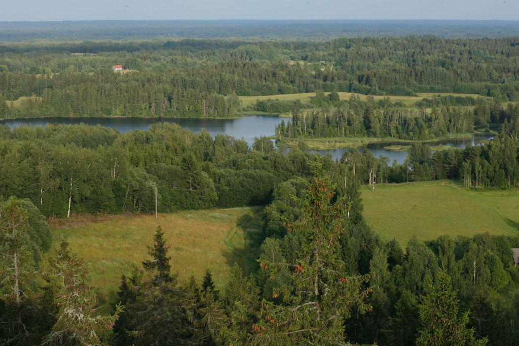View from the Suur Munamägi - Liina Guiter (EAS)