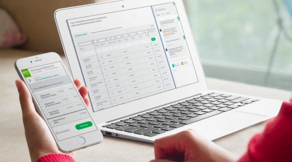 A tax report prepared online in Estonia. The image is illustrative. Photo by the Estonian Tax and Customs Board.