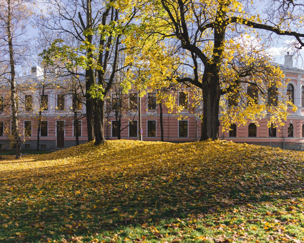 PICTURES: Eesti autumn through the eyes of photographer Tõnu Runnel