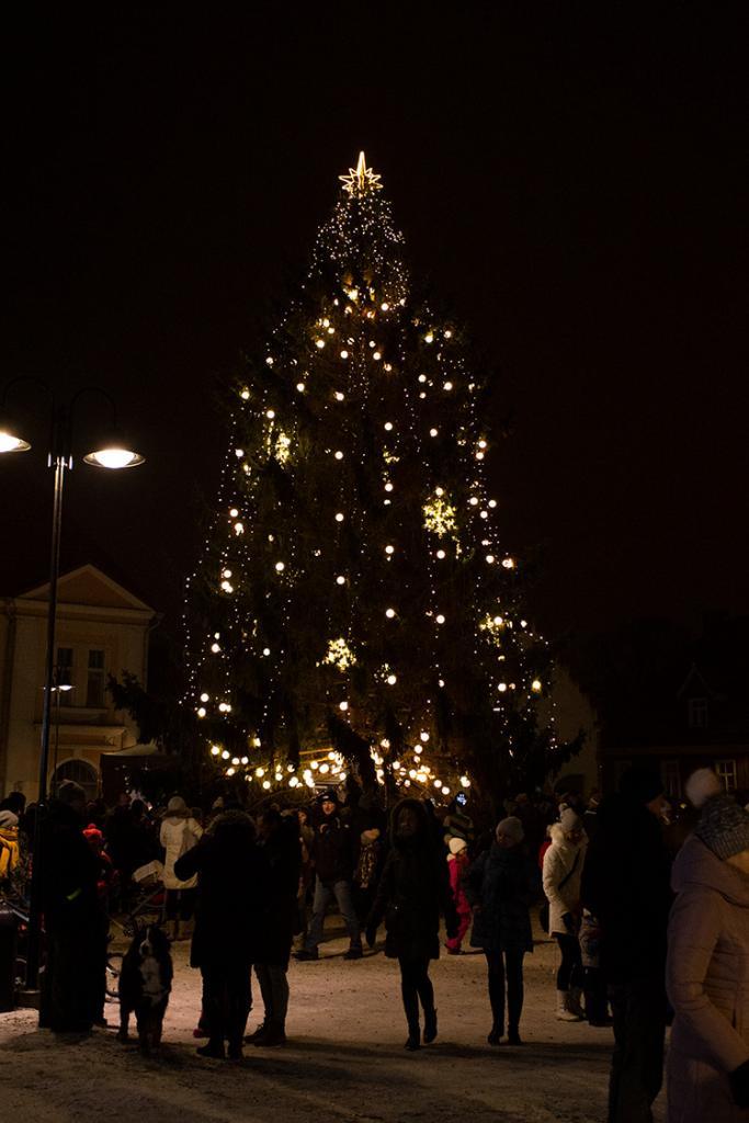 Merry Treesmas: the Saaremaa Christmas tree to end up in tonic water