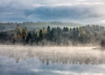 A nature scene in Estonia. Photo by Arne Ader.