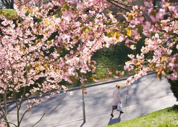 A spring walk in Tallinn. Photo by Renee Altrov.