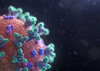 fusion medical animation coronavirus unsplash