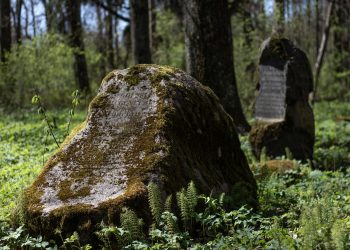 A few remaining gravestones in the former Mõigu cemetery. Photo by Juan P. Ortiz.