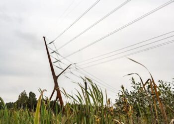 Bog Fox, Estonia’s first designer high voltage pylon. Photo by Tõnu Tunnel.