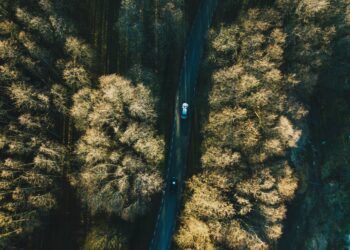 A road in Estonia. Photo by Mari Potter/Unsplash.