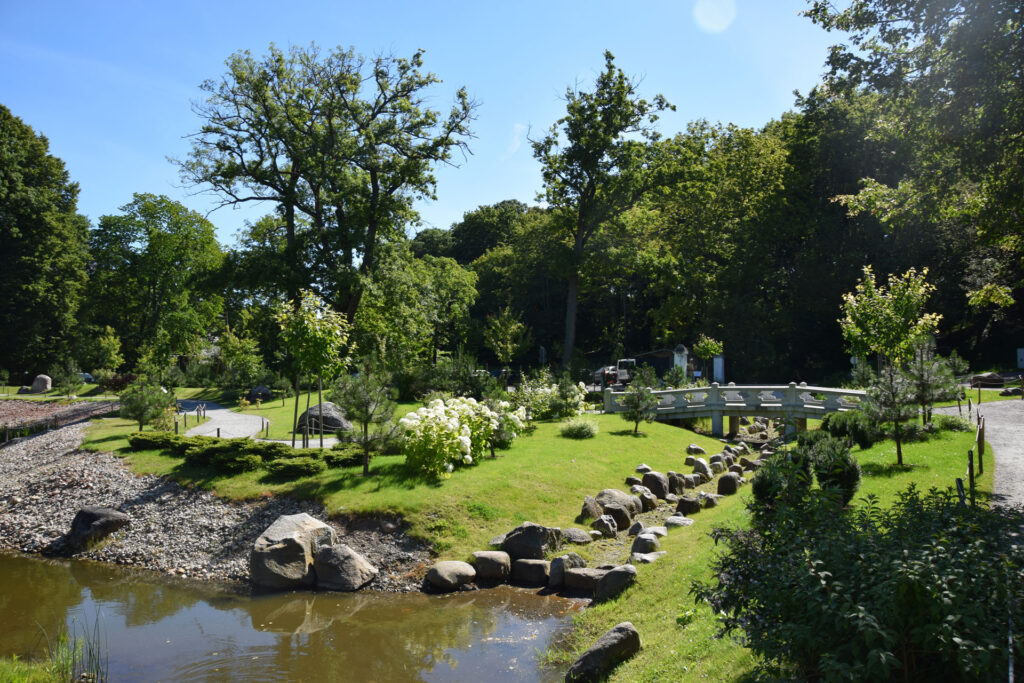Japanese Garden in Tallinn. Photo by Kadi-Liis Koppel.