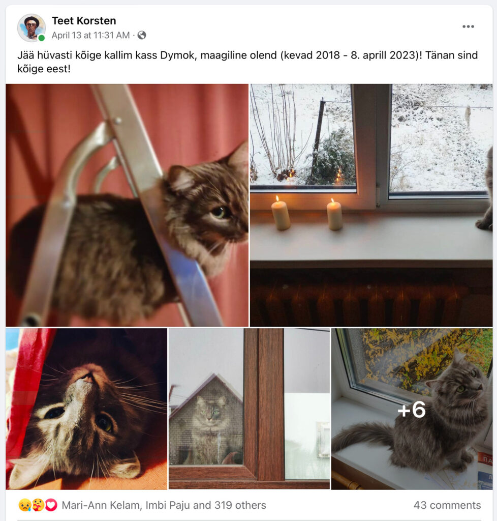 Eesti ajakirjanik Teet Korsten kaotas 2022. aasta aprillis majapõlengus oma armastatud kassi Dymoki. Ekraanitõmmis Facebookist.