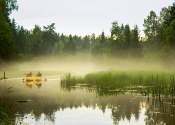 Canoeing on Ahja river in Estonia. Photo by Katrin Laurson.