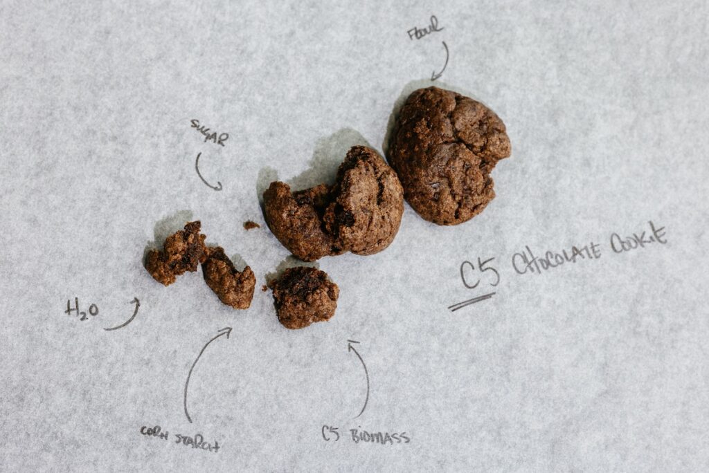 Cookies made from sawdust. Photo by Andres Raudjalg/Äio.