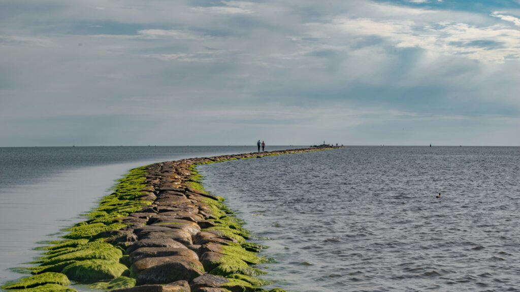 Estonia’s drop in the happiness rankings may be partly due to difficulties in building social connections. Photo: People walking on the Pärnu breakwater. Photo by Carlos Torres/Unsplash.