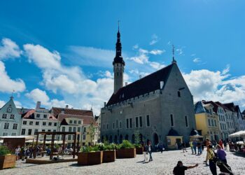 Estonia's population declined by almost 5,000 people in 2024. Pictured, people on a summer's day at the Town Hall Square in Tallinn. Photo by Sten Hankewitz.