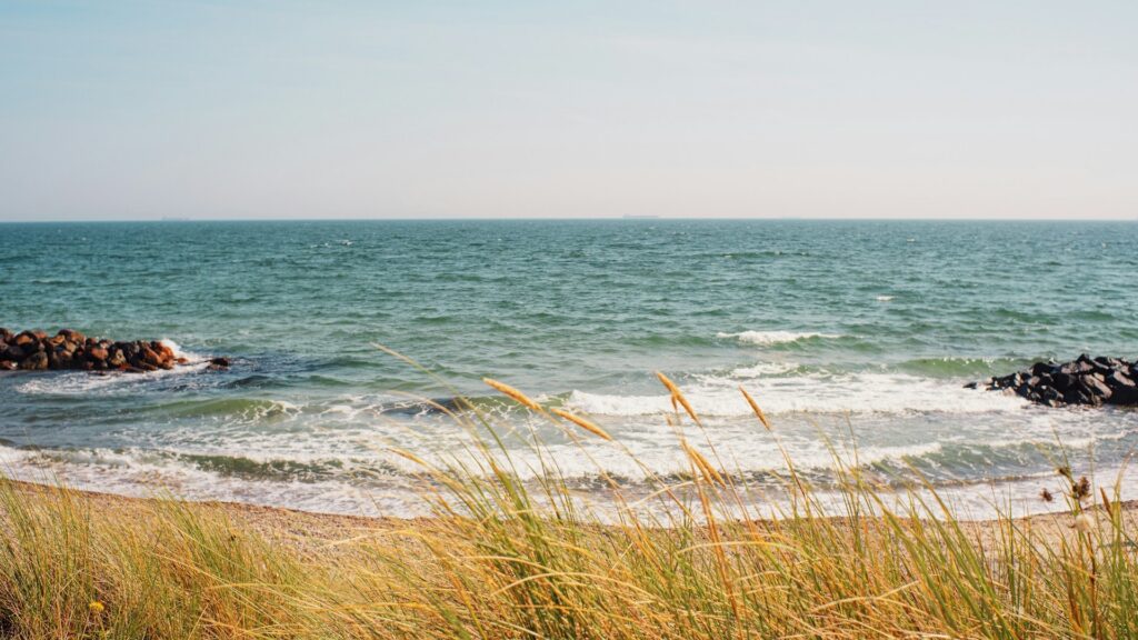 The stolen buoy was not merely a floating device – it was a scientific instrument developed by TalTech researchers and students, officially named LainePoiss (WaveBoy), designed to collect wave data from the Baltic Sea. Photo by Patrick von der Wehd/Unsplash.