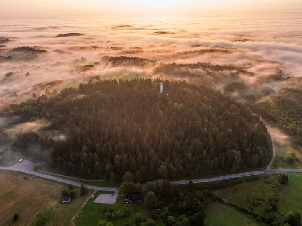 Suur Munamägi in Estonia. Photo by Jorma Suumann.