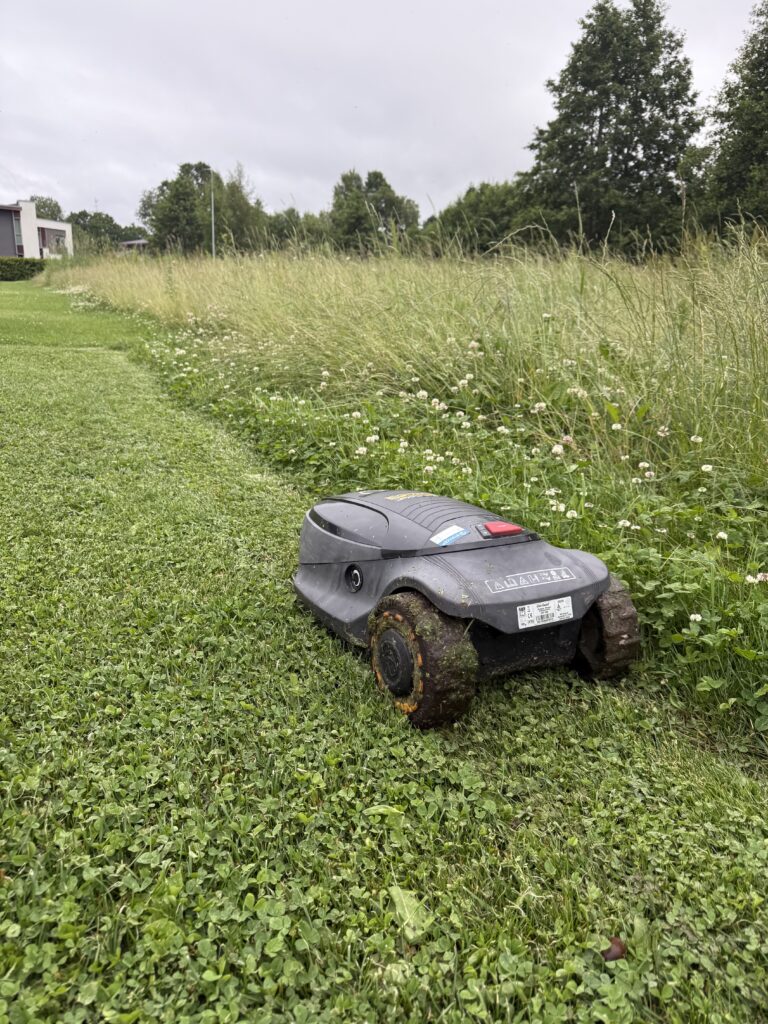 Every Estonian with a square metre of lawn has a robotic lawnmower. Photo by Mathew Thompson.