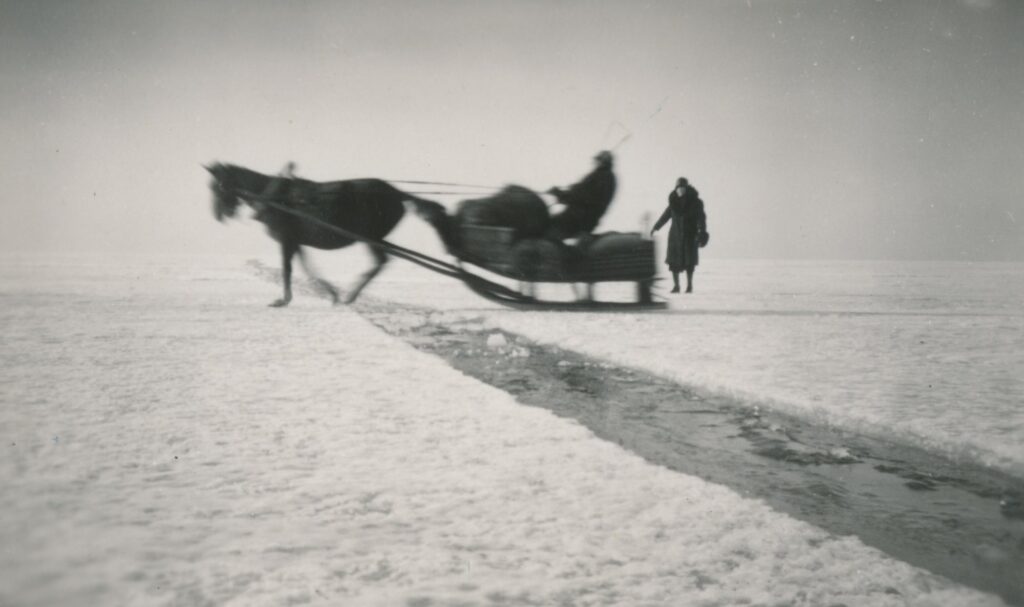 A Hiiumaa horse clears an ice crack mid-stride, c. 1940. Photo: SA Hiiumaa Muuseumid.