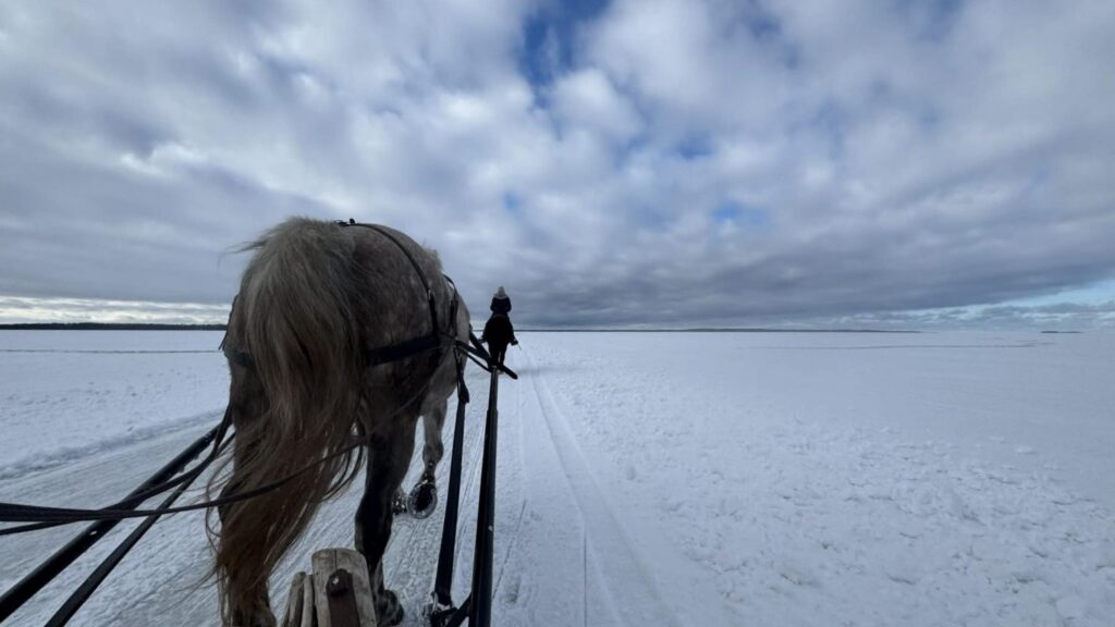 Some winters bring rare opportunities. This year’s long cold spell in Estonia has opened ice roads – official and improvised – carrying cars, skaters, hikers, and, one February day, even horses. Photo: Hobumaailm.ee