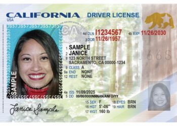 A sample of the California driver's licence.