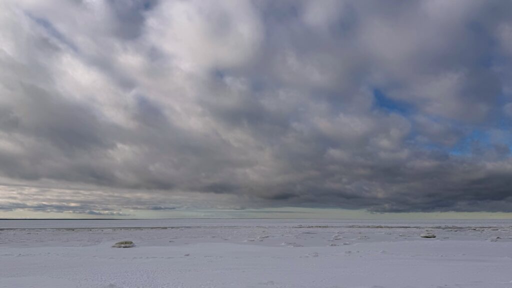 Sea ice along the shoreline. Photo by David Millington.