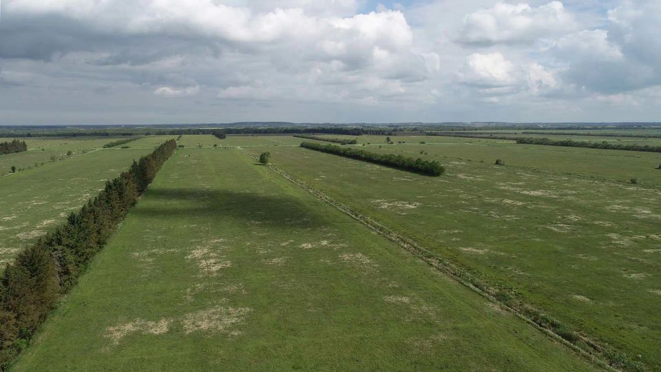Ørnefenner in Store Vildmose. Photo by the Danish Nature Agency.