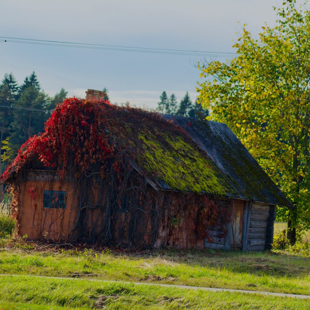 An old Estonian house covered in autumn vines – the kind of place where ghost stories seem to write themselves. Photo by Artur Alexander Holmski on Unsplash.