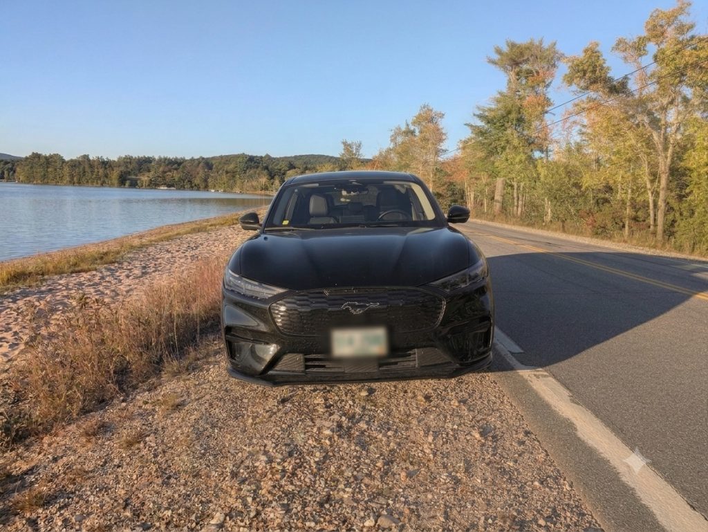 My little Pony. Photo by Sten Hankewitz.